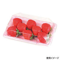 エフピコチューパ フルーツ容器 PSTR250平 くもはだピンク CP003879 1ケース(1000個(100個×10)（直送品）