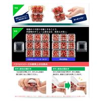 エフピコチューパ フルーツ容器 ペコペット10-10(44) CP007599 1ケース(1500個(100個×15)（直送品）