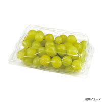 エフピコチューパ フルーツ容器 エコ GPR-SS.6H CP007614 1ケース(800個(50個×16)（直送品）