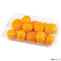 エフピコチューパ フルーツ容器 エコ GPR-L.6H CP007617 1ケース(300個(50個×6)（直送品）