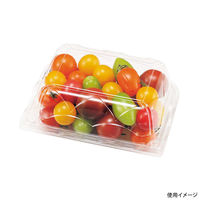 エフピコチューパ フルーツ容器 NZW17-13(68)AP.6H 小 CP007621 1ケース(600個(50個×（直送品）