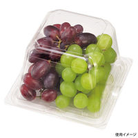 エフピコチューパ フルーツ容器 エコ VF-APダイス150角D 本体.4H CP007656 1ケース(600個(50個×12)（直送品）