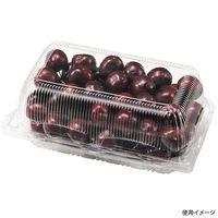 エフピコチューパ フルーツ容器 ペコペット GPR-N CP007669 1ケース(600個(50個×12)（直送品）