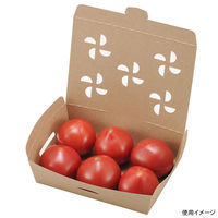 エフピコチューパ フルーツ容器 紙ベジ 16-12(42) クラフト FSL CP501901 1ケース(450個(25個×18)（直送品）