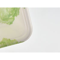 エフピコ 発泡トレー FLB-A12-30 V エコGレタス 4B130126 1袋(100個)（直送品）