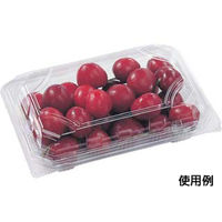 エフピコ フードパック SA-403-40 76534033 1ケース(1200個(50個×24)（直送品）