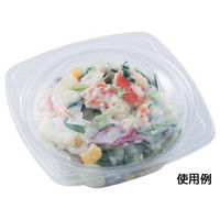 エフピコ 冷麺容器 APデリ-120-160 本体 7R031220 1袋(50個)（直送品）