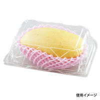 エフピコチューパ フルーツ容器 GPR-S.6H CP007228 1袋(50個)（直送品）