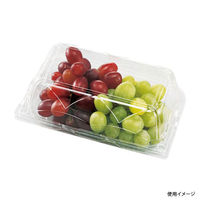 エフピコチューパ フルーツ容器 GPR-M 6H CP007229 1袋(50個)（直送品）