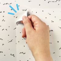 光 天井補修シールA6(148×105)1枚入 THSA-6 1枚