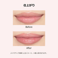 マキアージュ ドラマティックエッセンスリップケア 3.8g 資生堂