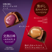 プレミアムガーナ ショコラセレクション 1袋 ロッテ チョコレート お菓子