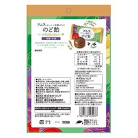 ツムラのおいしい和漢ぷらすのど飴49g 1セット（1袋×6） ツムラ のど飴 あめ キャンディー