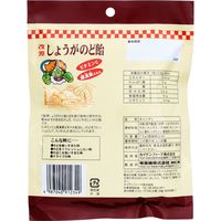 改源しょうがのど飴 73g 1セット（1袋×6） カイゲンファーマ食品 のど飴 あめ キャンディー