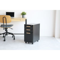 ICHIBA スチールデスクワゴン 幅300×奥行450×高さ580mｍ ブラック OFK-3759BK 1台（直送品）