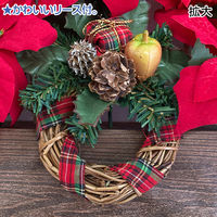 アルファ ポインセチアアレンジプランター TE5-1357 1ヶ（直送品）