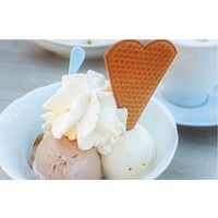 プレジデント スプレーホイップ 250g 1個 ホイップクリーム 製菓材料