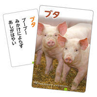 アーテック これはなんの音？かるた～いきもの～ 1個