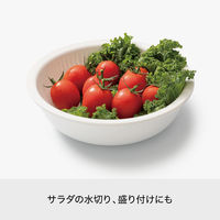 Like-it（ライクイット） 米とぎにも使えるザルとボウル 浅型 ホワイト 日本製 1個