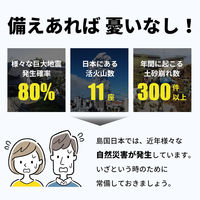 10年保存できる防災用ウェットティッシュ 5個 衛生用品 長期保存 ノンアルコール 無香料 防災グッズ 災害 清掃（直送品）