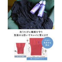 ラボン LAVONS トゥザムーン シャレボン オシャレ着洗剤 ノクターナルブルーの香り 詰め替え 400mL 1個 衣料用洗剤 ネイチャーラボ