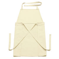 LIV PLUS CAROTE（カローテ） 首掛けエプロン 腰巻き 2WAY アイボリー NM-5061 1個