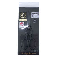 坂謙 剣謙心 ステン刃キッチン鋏 黒染 鉄ハンドル KST-2 1個（直送品）