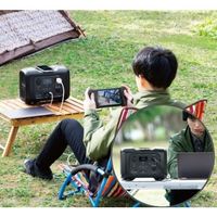 セルスター工業 セルスター ポータブル電源 PDL-300 1台 560-9799（直送品）