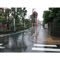 積水樹脂 積水 ジスミラー「標準型」メタクリル樹脂製 φ800 支柱付き KM800S 1セット 854-8147（直送品）