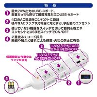カシムラ 電源タップ4AC-C/A-PD20W スイッチ/雷サージ付き 1.2m AC-058 1台