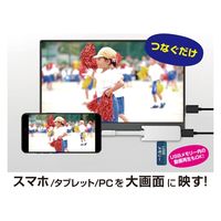 カシムラ Miracast HDMI 4K 給電用ポート付 USB-C KD-268 1台（直送品）