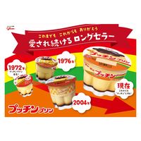 江崎グリコ(株)(旧グリコ乳業) [冷蔵]江崎グリコ プッチンプリン 67g×3P×6個 4971666409581 1セット(6個)（直送品）