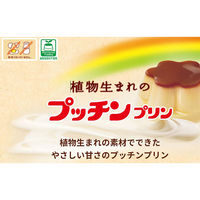 江崎グリコ [冷蔵]江崎グリコ 植物生まれのBigプッチンプリン 155g×6個 49147650 1セット(6個)（直送品）