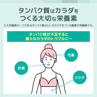 おやつカンパニー BODY STAR（ボディスター）プロテインスナック　バーベキュー味 1セット（1袋（40g）×12）