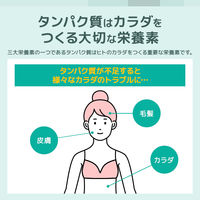 おやつカンパニー BODY STAR（ボディスター）プロテインスナック コンソメ味 1セット（1袋（42g）×12） おつまみ