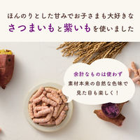 （7カ月頃から）カインデスト 手づかみおやつ 玄米スティック ほのあまさつまいも 1セット（1個（2袋入）×6）