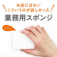 業務用 PRO メラミンスポンジ 水だけでしつこい汚れもスッキリ落とせる 洗剤不要 1パック（10個組）ワイズ