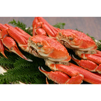 キングマカデミアンJAPAN かに鍋セット4人前 (ずわい蟹) K010010 1セット（直送品）