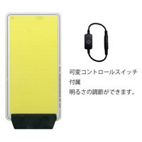 アイガーツール 極薄クリップパネルライト 昼光色 4000lm EGDC001CL 1個（直送品）