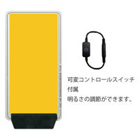 アイガーツール 極薄クリップパネルライト 電球色 3000lm EGDC002CL 1個（直送品）