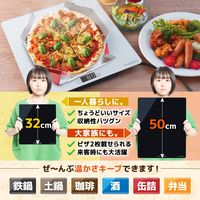 サンコー 「フードウォーマープレートM」ブラック FDWRPMSBK 1台