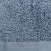 林 やわらかフェイスタオル テックカラー ブルー FO438001 1枚