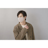 アイリスオーヤマ デイリーフィットマスク 立体 ふつうサイズ ペールベージュ　不織布　個包装　カラーマスク　RK-F5SXQ 1パック(5枚入)