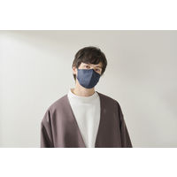 アイリスオーヤマ デイリーフィットマスク 立体 ふつうサイズ ナイトブルー　不織布　個包装　カラーマスク　RK-F5SXN 1パック(5枚入)