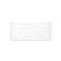 アイリスオーヤマ プリーツマスク ゆったり大きめサイズ ホワイト　PK-NV40LL　プリーツ　1箱(40枚入)