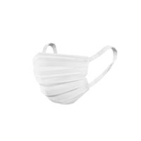 アイリスオーヤマ 美フィットマスク ふつう ホワイト　PK-B30MW プリーツ　1箱(30枚入)