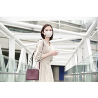 アイリスオーヤマ デイリーフィットマスク フィルタープラス ふつう ペールベージュ×ボルドー 立体型　1箱(20枚入)