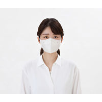 アイリスオーヤマ デイリーフィットマスク フィルタープラス ふつう ホワイト　RN-H20SW 立体型　1箱(20枚入)
