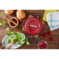 アイリスオーヤマ 無加水鍋 COTOCO 20cm ビーツレッド SMKSN-S20 1個（直送品）