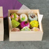 ヤマコー ファルカタ・ミニお重 1段 28115 1個（直送品）